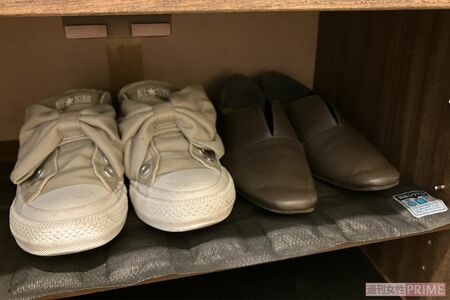 くり返し使える消臭除湿シート/399円ニトリ　撮影／山田智絵