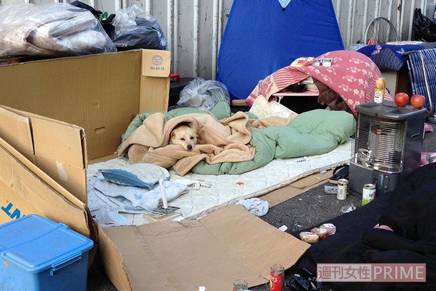 主人のいない布団の中から顔を出すワンコ　写真提供／村田らむ氏
