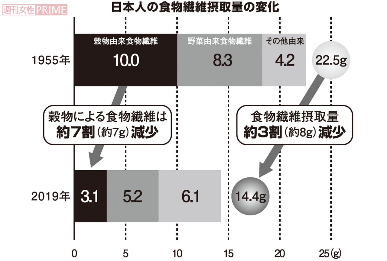 日本人の食物繊維摂取量の変化　グラフィック／スヤマミヅホ