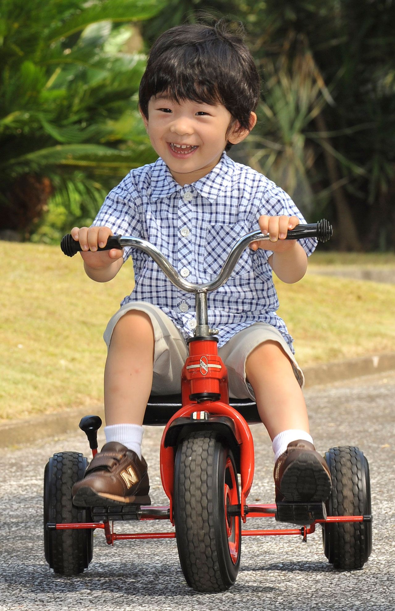 2009年8月、翌月に3歳となられる悠仁さまは楽しそうに三輪車をこがれた。自分で選んだ絵本を紀子さまと一緒に読んだり、歌を歌っておられていた。姉の眞子さまや佳子さまの学校が休みのときは、おふたりとパズルやお絵描きも。