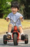 2009年8月、翌月に3歳となられる悠仁さまは楽しそうに三輪車をこがれた
