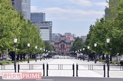 東京駅丸の内前広場から続く「行幸通り」のイチョウ並木は、これからが見ごろ　撮影／渡邉智裕