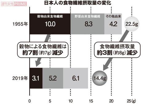 日本人の食物繊維摂取量の変化　グラフィック／スヤマミヅホ