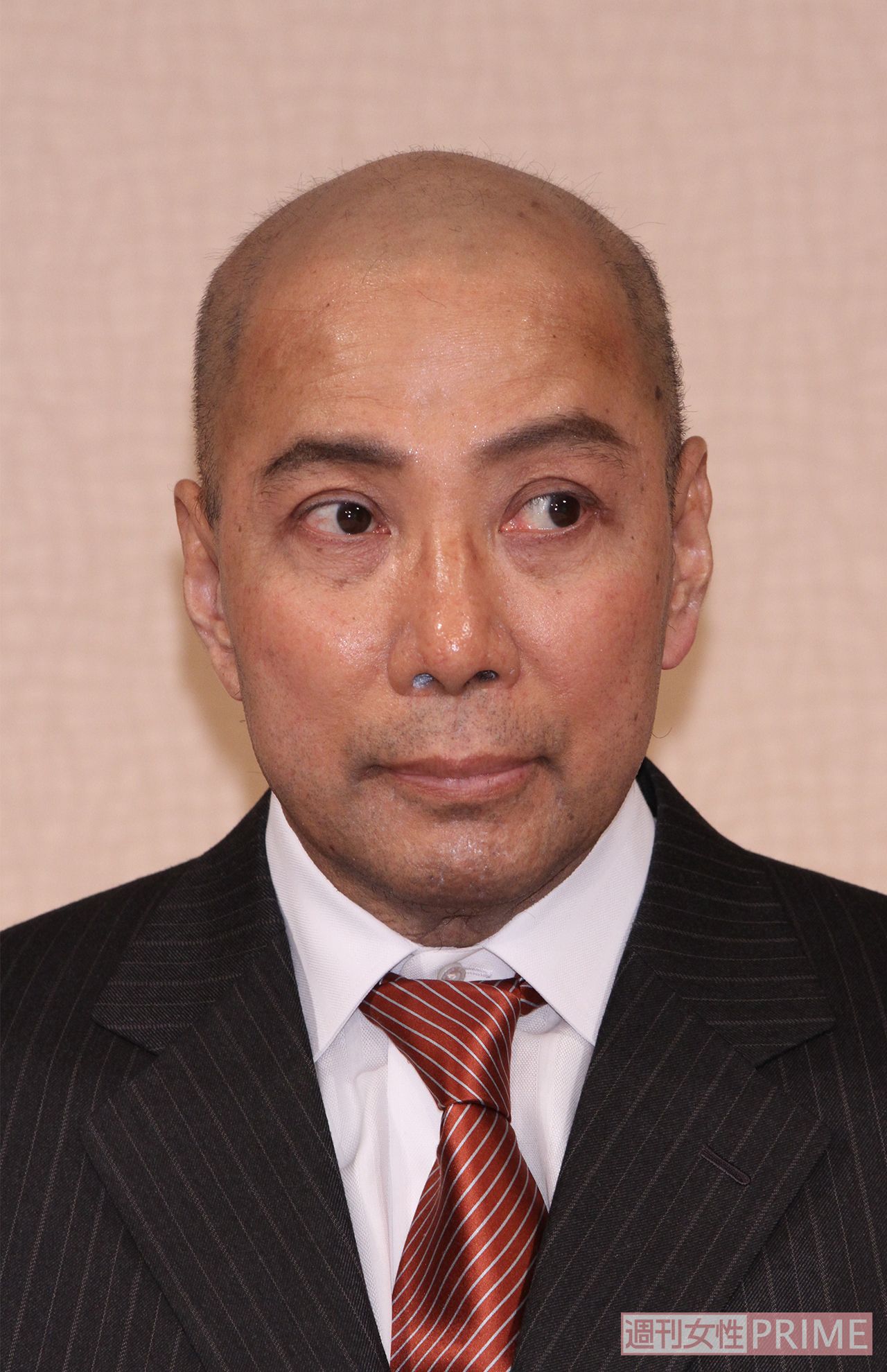 十二代目　市川團十郎