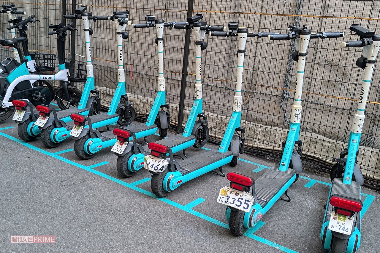 LUUP（写真はイメージです）　撮影／編集部