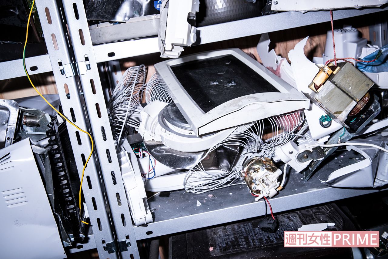 あんなものからこんなものまで、フルボッコ! 毎週日曜放送のテレビ番組『シューイチ』のロケでは、菅田将暉も訪れたとか　撮影／矢島泰輔