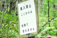 コロナ禍で流行の“都市近郊登山”は高い山より危険！秋の山で遭難しない7つの鉄則