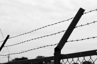 死刑が執行された日「死刑囚の母」は何を思うか、賛成派・反対派それぞれの思い