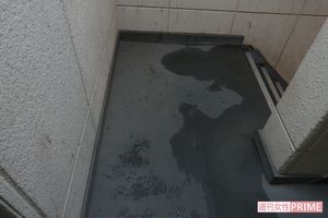 事件現場となったマンションの踊り場。血しぶきを洗浄したばかりの生々しい痕が残っていた