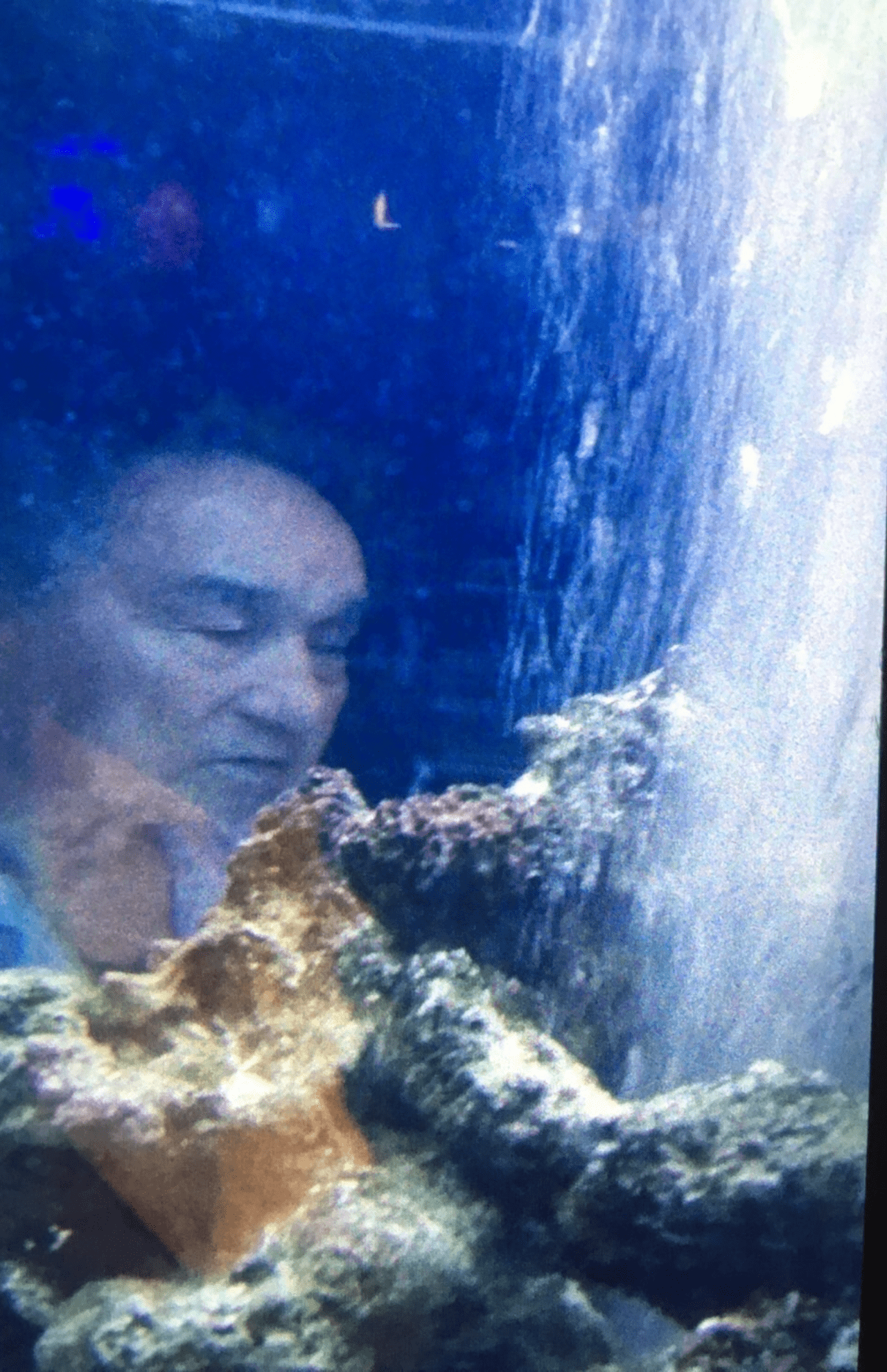 自宅マンションの水槽に写るジャニー喜多川氏