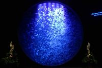 「ダレカキテ…」入館者0人の山形県鶴岡市立加茂水族館が切ないつぶやき、来館者激減の背景に日本海側観光…