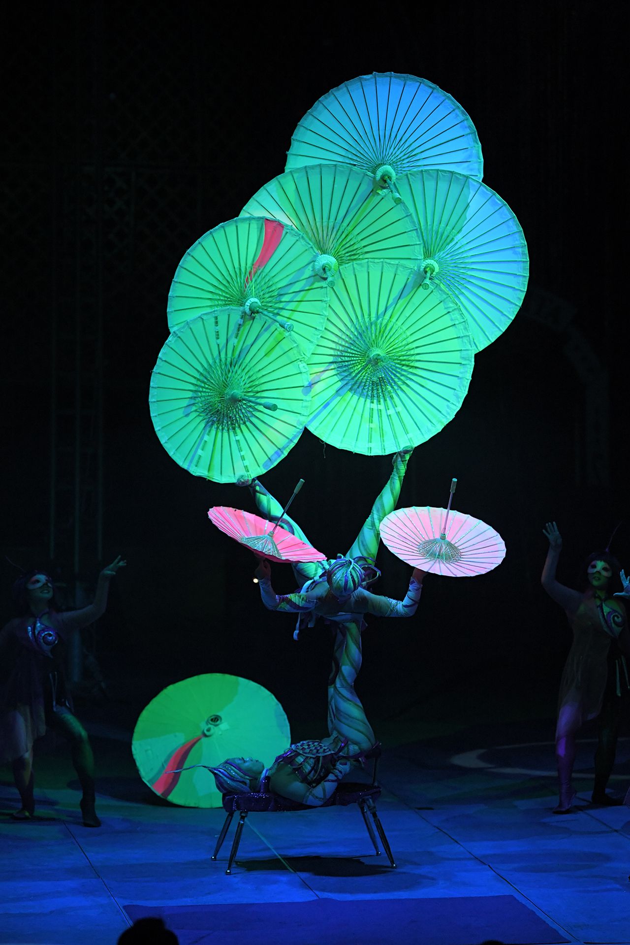 撮影／渡邉智裕