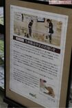 生体販売の中止を店内でも告知。ペット用品などの販売に力を入れている