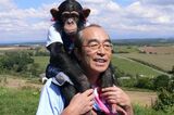 『志村どうぶつ園』VTRでパンくんは「恐怖に震えて…」霊長類学者が警告！