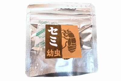《鳴き声が聞こえなくなった》都内で相次ぐ“セミ乱獲”の真相は“食用目的”?専門家が語る昆虫食の“リア…