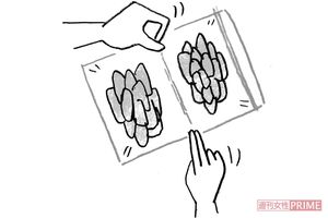 【鶏むね肉・ささみ】蒸し鶏にして汁と一緒に冷凍すればずっとジューシー　イラスト/やのひろこ