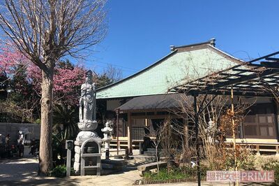 月桂山清光院●1505年に開山された臨済宗建長寺派。本尊は薬師如来。住所／静岡県賀茂郡東伊豆町稲取344-3　アクセス／伊豆急行線「伊豆稲取」駅から徒歩約7分。