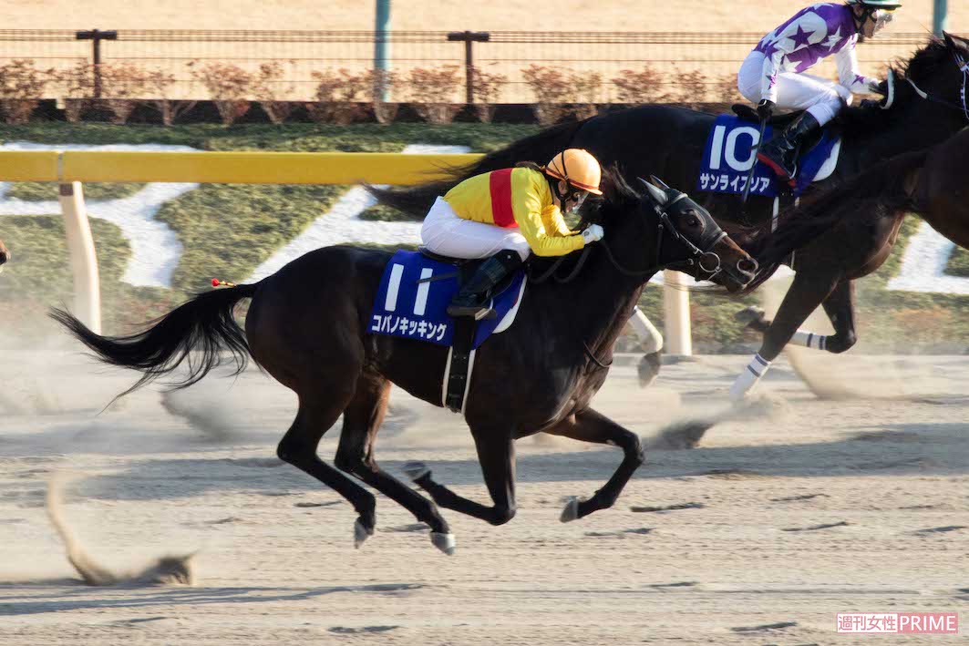 2019年2月、コパノキッキングに騎乗して第36回フェブラリーステークス（G1）に出場した藤田菜七子