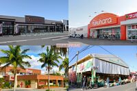 【“魅惑”のご当地スーパー15】研究家が厳選！近くに寄ったら訪れるべき全国の名店、福岡の「はぎトッツォ…