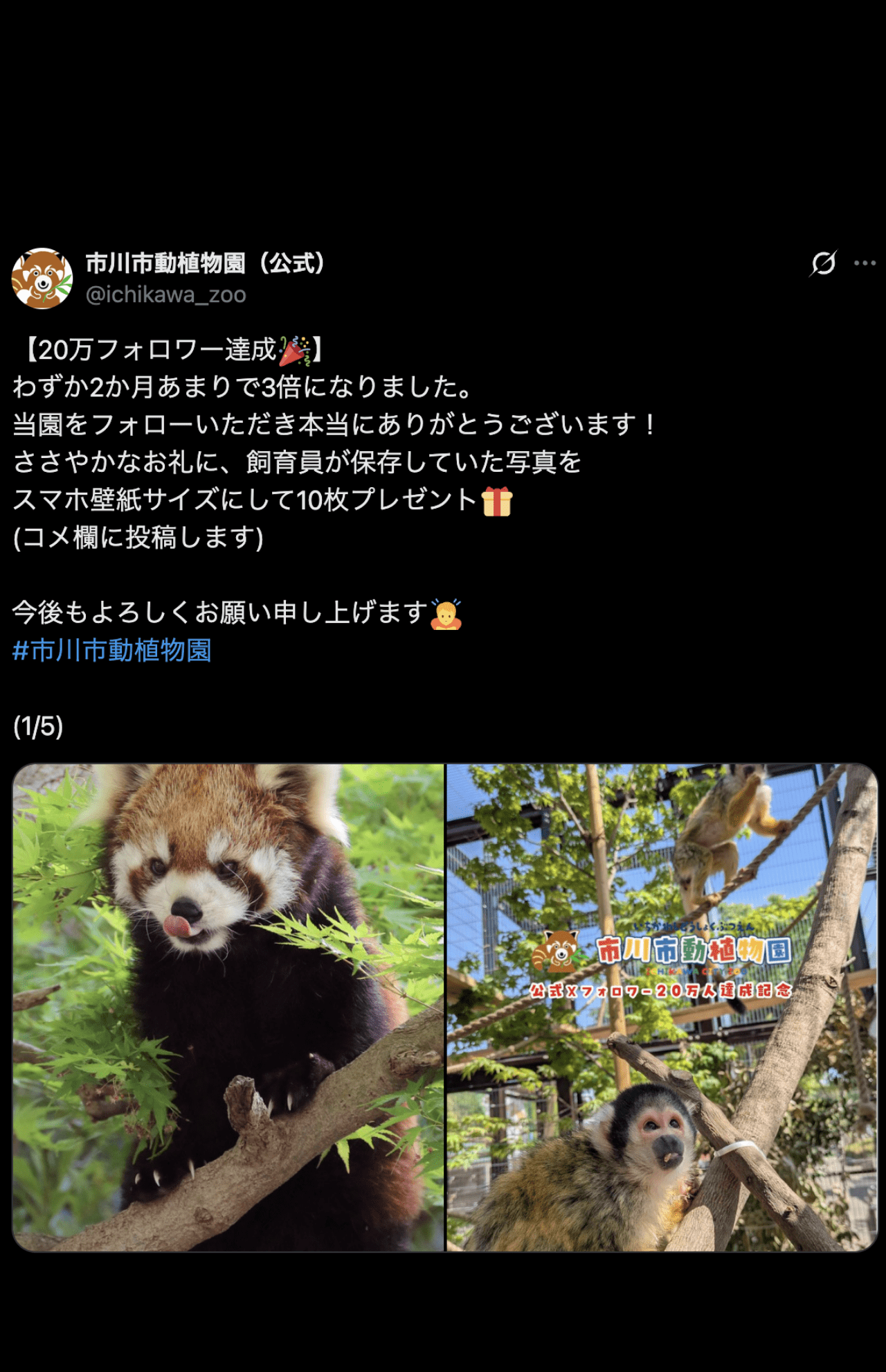 20万フォロワー達成を報告した市川市動植物園（公式Xより）