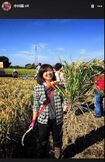 小川晶前橋市長。農業を行う姿も(FaceBookより)