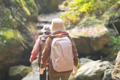 《登山ガイドが警鐘》“もしも”の備えは必須!ナメてはいけない秋登山、ささいなケガも命取り「黒い服・10…