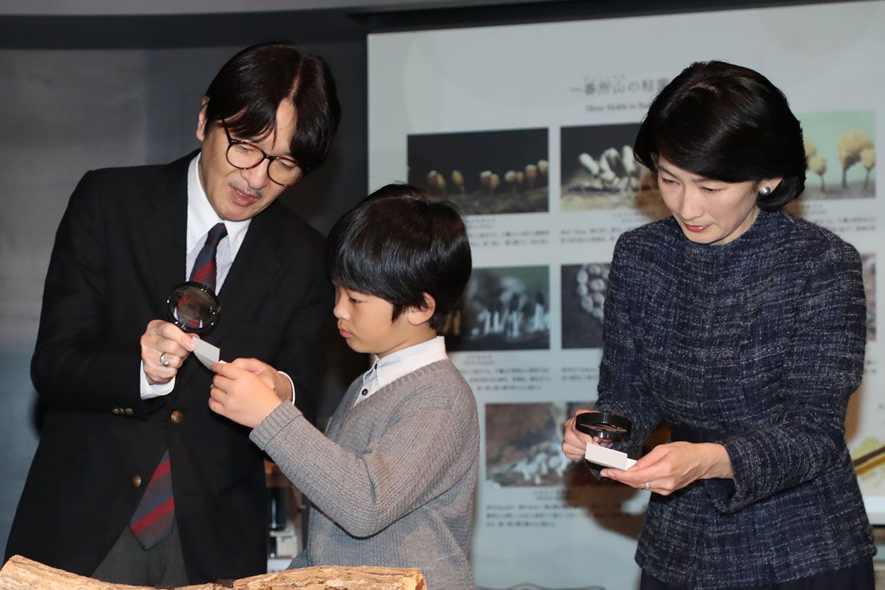 '17年12月、南方熊楠記念館を訪れた秋篠宮ご夫妻と悠仁さま。悠仁さまへの眼差しは優しげ