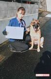 8年間、警察犬として頑張ったシェパードのグレースとはさまざまな現場を駆け回った。松尾さんは左の写真を今でも自宅リビングに大切に飾っている