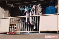 《福岡》ゴキブリの死骸50匹をバラまいた、“初老ストーカー” のキモすぎる悪行