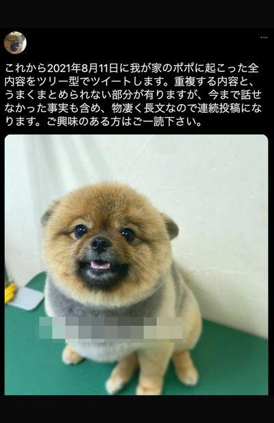 愛犬を亡くした飼い主の投稿（Twitterより）