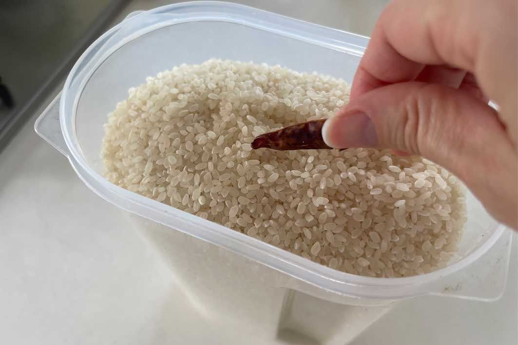古米にも!米の保存に唐辛子
