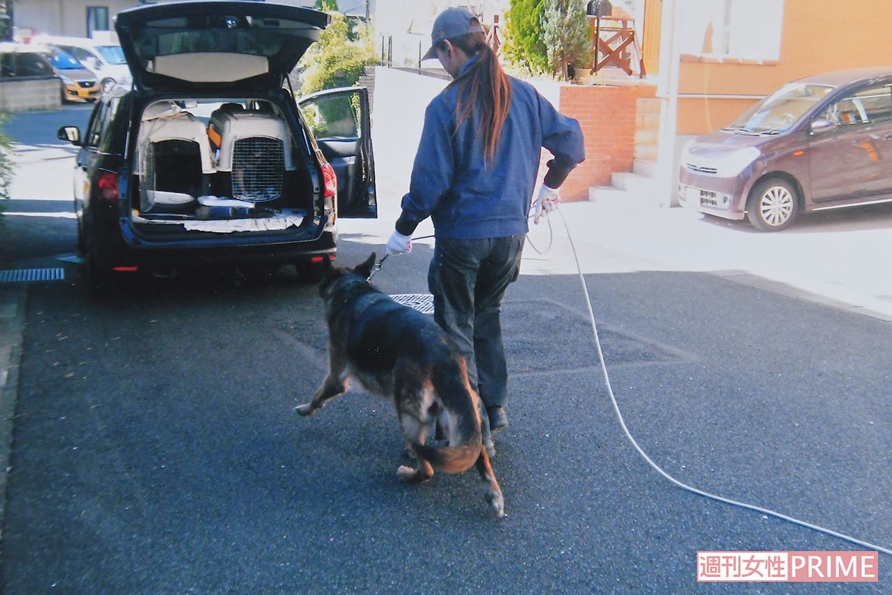 捜索依頼の電話に反応し、グレースは自分から車の前で待機したという