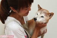 生涯預かりまで行う老犬・老猫ホーム「ここは看取る場所ではなく、第2のわが家」 
