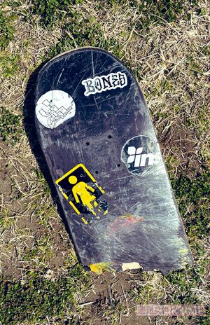 豊洲ゴミ拾いでたびたび発見されるスケボー（三戸区議、撮影・提供）