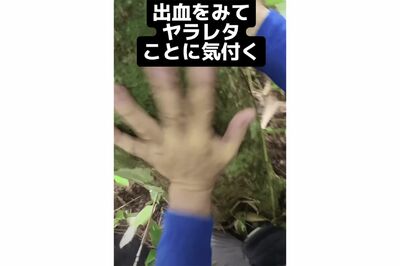 クマに襲われて反撃する一部始終を捉えた動画に衝撃！被害男性に聞いた、“生き残れた方法”とその後「捕ま…