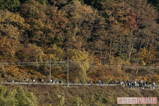 線路に侵入し横断、かなりの人数が危険な線路脇を歩き、撮影地に群がっている