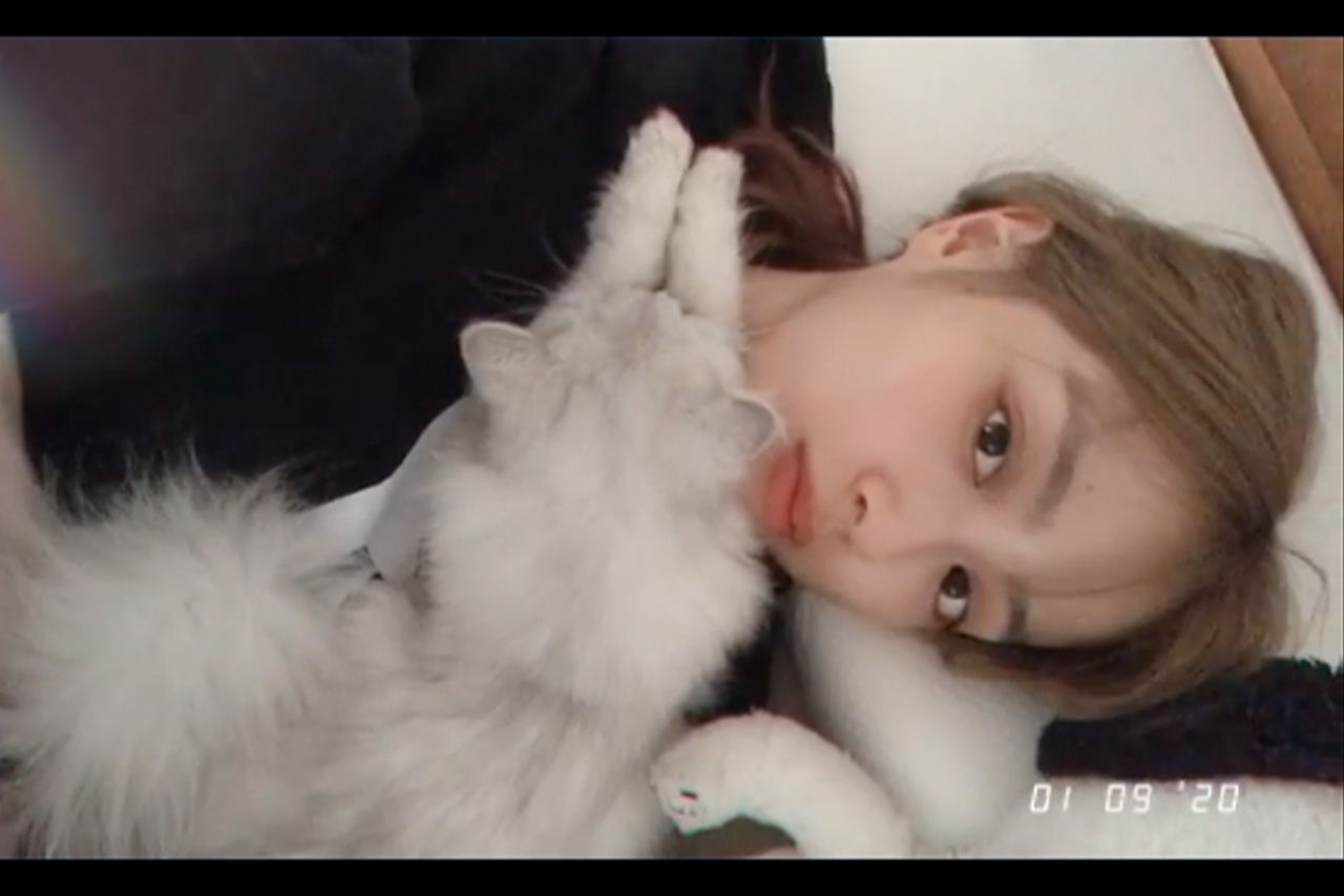 内田理央と愛猫（@rio_uchidaより）