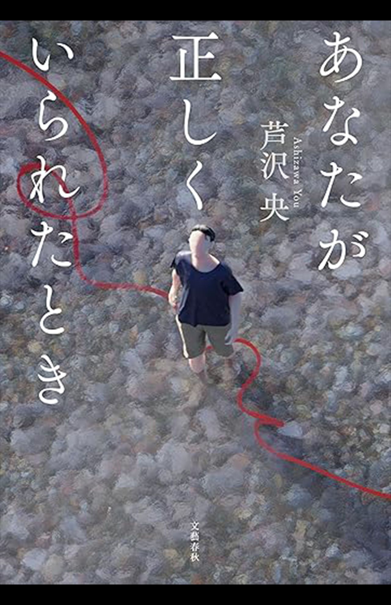 『あなたが正しくいられたとき』芦沢央　文藝春秋　税込み1980円