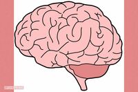 82歳の認知症研究者が実践する5つの習慣「最も大事なのは『主体的に生きる』こと」「食事は1日1回昼食のみ…