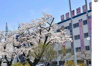 《青森山田高校サッカー部》“4年で再発”飲酒・喫煙で十数人処分も「個人の問題」高校生の不祥事多発は「組織的な問題」