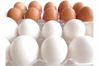 《卵の真実》スーパーで同じ値段でも“赤い卵”だけが品薄、白よりも赤に「栄養がある」節を専門家に聞いた