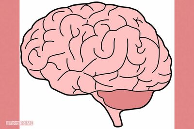 82歳の認知症研究者が実践する5つの習慣「最も大事なのは『主体的に生きる』こと」「食事は1日1回昼食のみ…