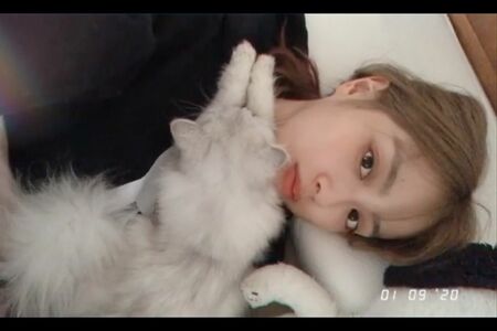 北山宏光の引っ掻き傷の主？内田理央と愛猫（@rio_uchidaより）