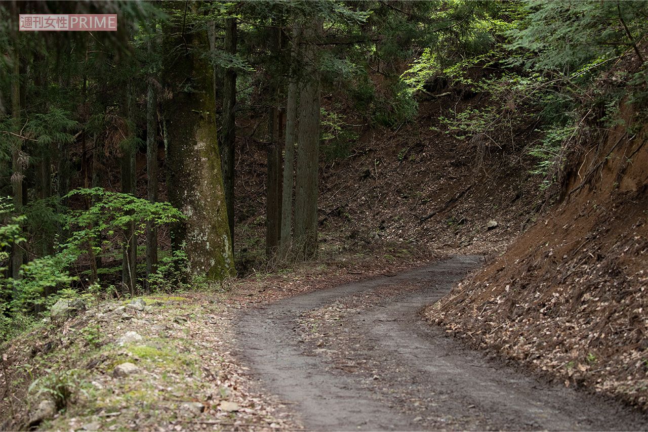 小倉美咲ちゃんの骨の一部が見つかったのはこの山道を抜けたところ。あの日一体何があったのか