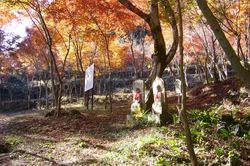 矢田寺大門坊（奈良県大和郡山市矢田町3506）／アクセス：近鉄郡山駅より奈良交通バス「矢田寺前」行き20分、終点下車すぐ／所要時間：約90分
