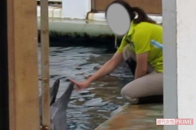 水族館の“イルカショー”に動物愛護団体が危惧「生け捕りの時点で虐待は始まっている」