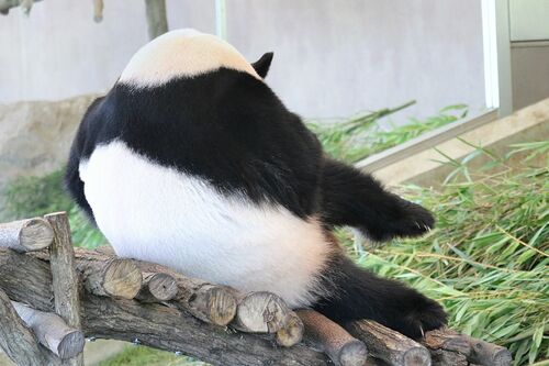 Q.ストレッチだ～れだ　E　（撮影／二木繁美）