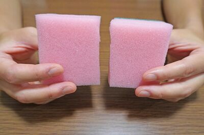 「分けられるものは半分に」（YouTube「かえるカエルch【4人家族の節約と貯蓄】」より）