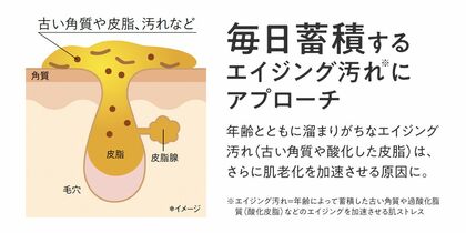 ESS ONLINE SHOP公式サイトより（https://www.papawash.com/item/101100）