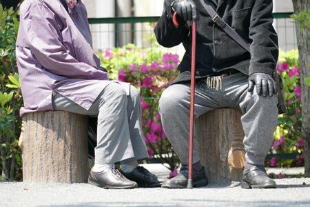 写真はイメージです